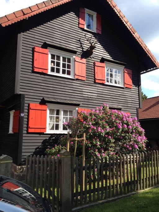 Villa Herzog - Ferienhaus Fuer 6 Personen In Braunlage, Harz Eksteriør bilde